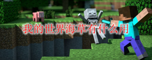 我的世界海草有什么用