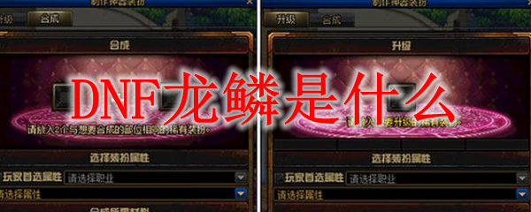 DNF龙鳞是什么