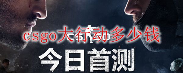 csgo大行动多少钱