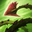 《LOL》10.1版本更新内容汇总
