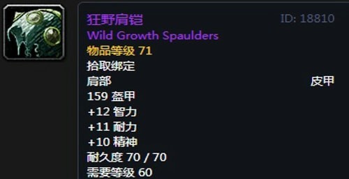 《魔兽世界》怀旧服黑翼之巢奶骑毕业装备汇总
