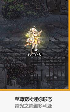 《DNF》2020春节宠物装备大全