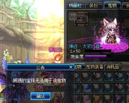 《DNF》2019新春宠物进化书道具详解