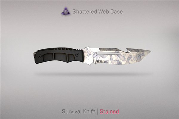 《CSGO》裂网大行动刀皮肤介绍