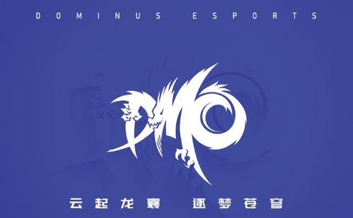 《LOL》DMOS10战队队员国籍