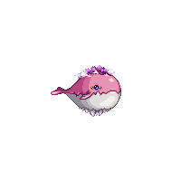 《DNF》95怒海霸主天帷巨兽宠物礼盒介绍