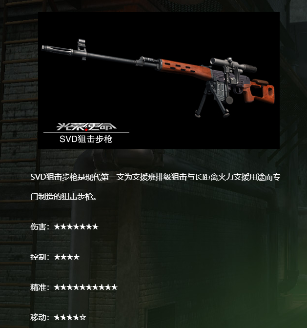 《光荣使命》SVD