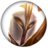 《LOL》云顶之弈贵族种族效果一览