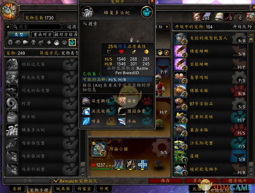 《魔兽世界》8.2宠物属性推荐