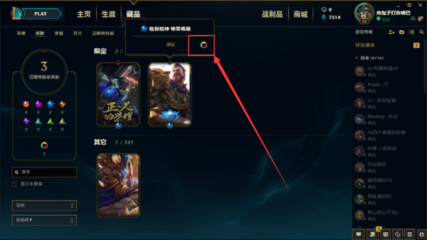 怎么查看自己的炫彩皮肤