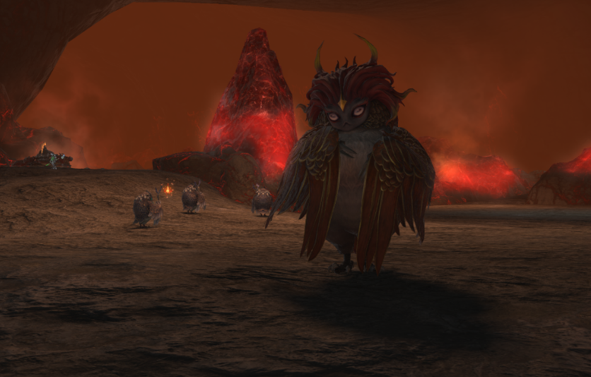 《FF14》48级NM智慧与战争之母—明眸打法攻略