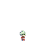 《DNF》宠物大全