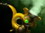 《DOTA2》死亡先知进阶玩法