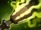 《DOTA2》潮汐猎人进阶技巧