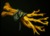 《DOTA2》兽王进阶玩法