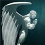 《DOTA2》全能骑士入门玩法