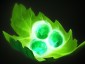 《DOTA2》艾欧进阶玩法