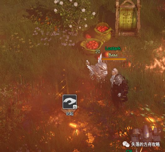 失落的方舟技能点获得方式一览