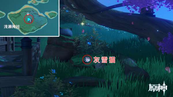 原神四方八方之网可捕捉动物在哪
