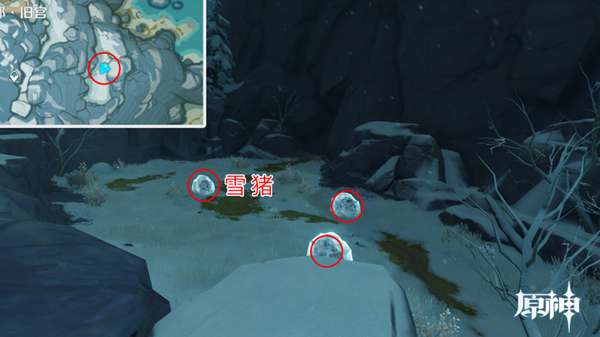 原神四方八方之网可捕捉动物在哪