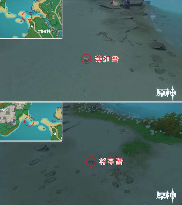 原神2.3螃蟹在哪抓