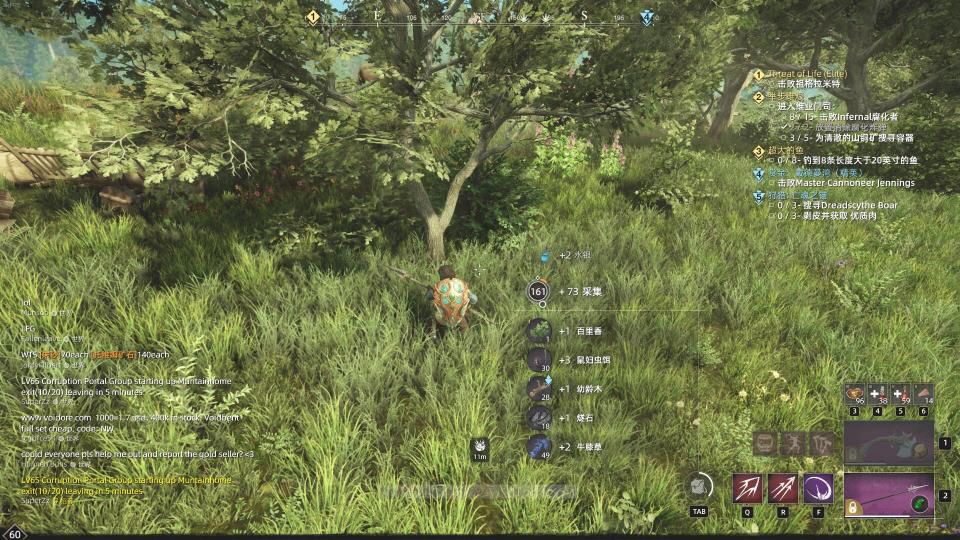 新世界草药在哪