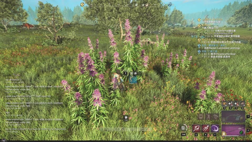 新世界草药在哪