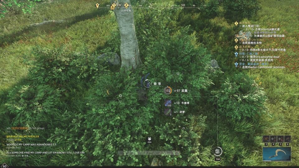新世界草药在哪
