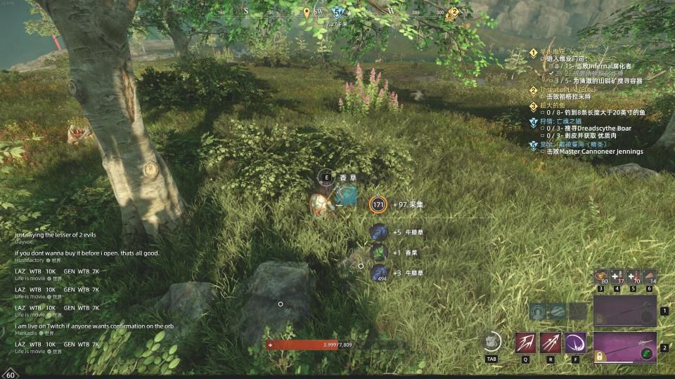 新世界草药在哪