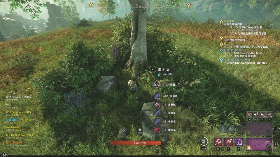 新世界草药在哪