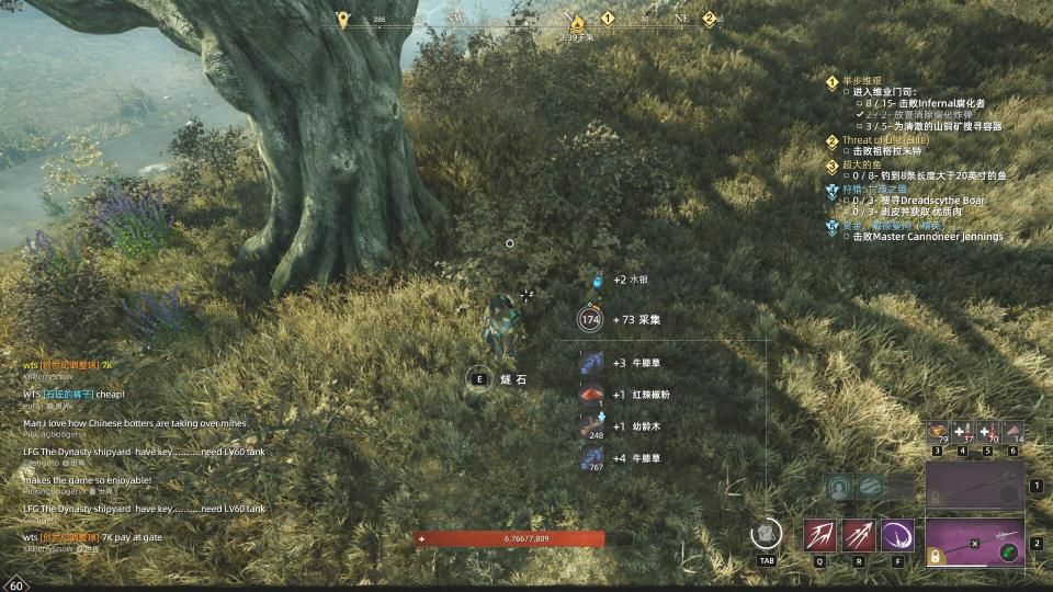 新世界草药在哪