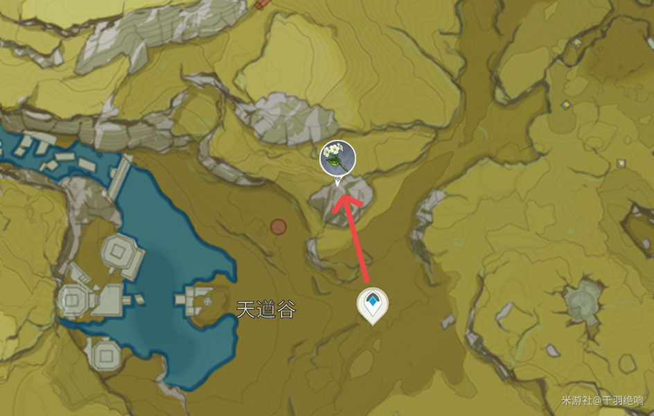 原神清心采集点路线2.5