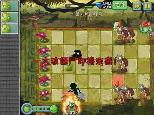 《植物大战僵尸2》失落之城第五关攻略