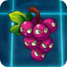 《植物大战僵尸2》植物图

鉴之大力花菜（每月特供）