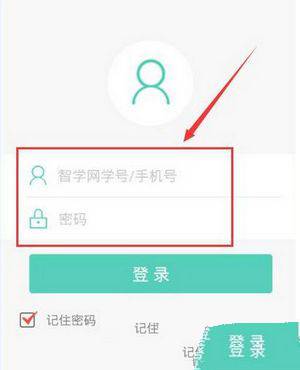 《智学网》如何查看成绩的方法介绍