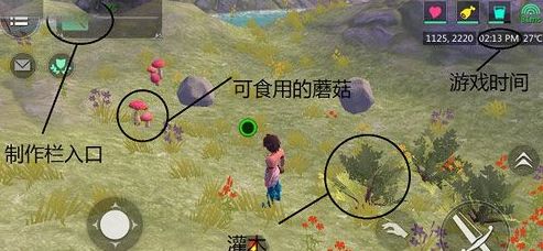 《创造与魔法》游戏前必看技巧介绍