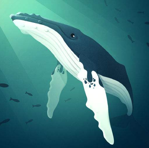 《深海水族馆》升级攻略