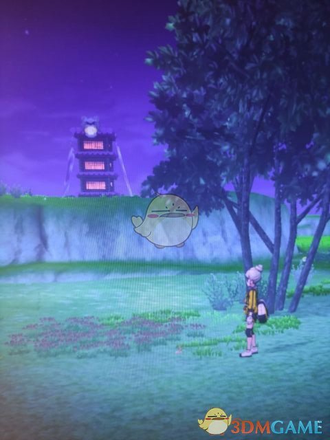 《宝可梦：剑/盾》清凉湿原地鼠位置分享