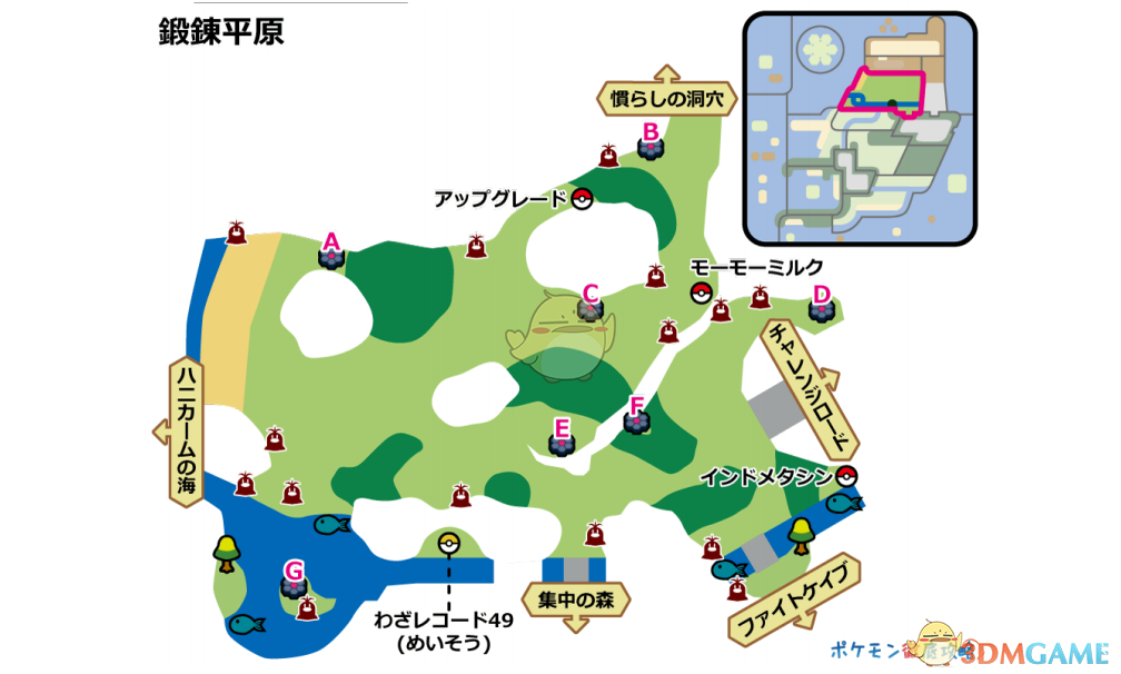 《宝可梦：剑/盾》锻炼平原全巢穴信息一览