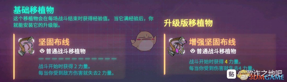《欺诈之地》萨儿坚固布线介绍