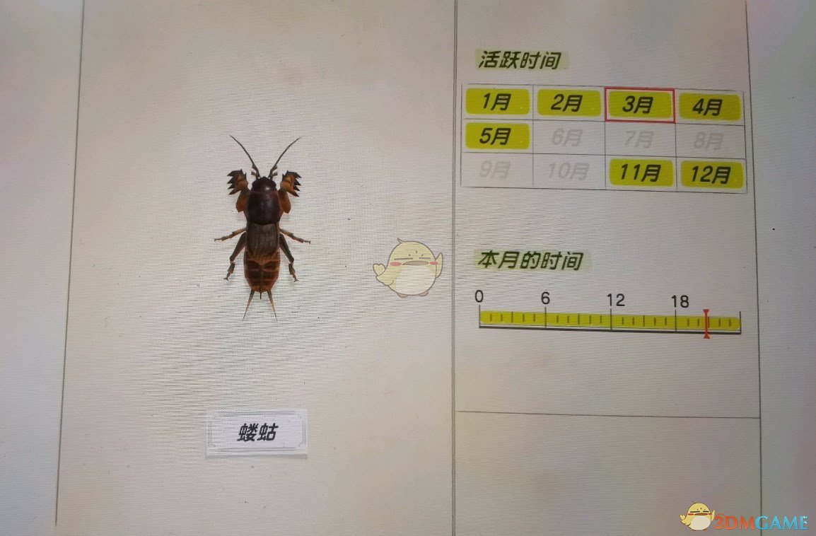 《集合啦！动物森友会》蝼蛄捕捉心得分享