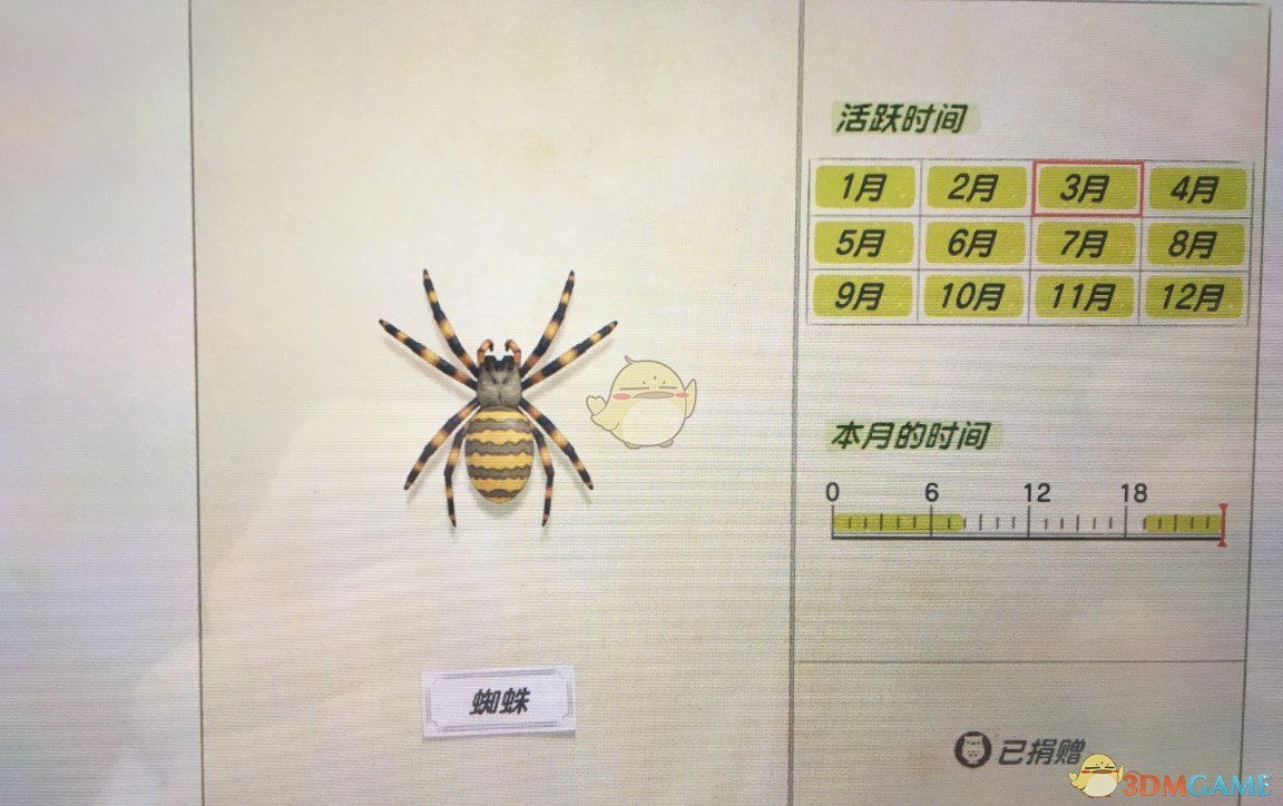 《集合啦！动物森友会》蜘蛛捕捉方法分享
