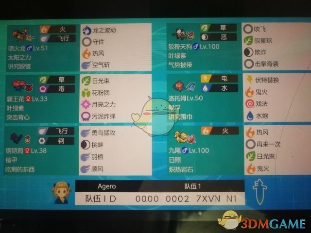《宝可梦：剑/盾》64双打晴天队分享
