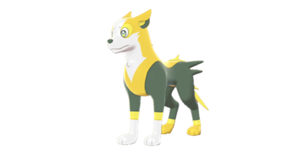 《宝可梦：剑/盾》逐电犬双打配招