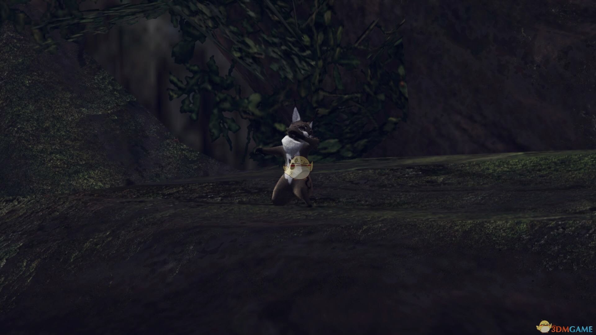 《怪物猎人：世界》森林虫笼族观察委托金牌指南