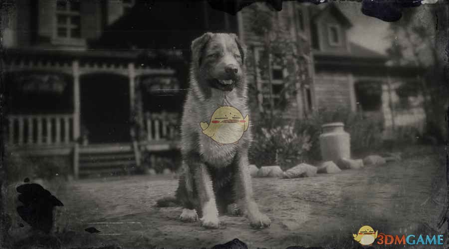 《荒野大镖客2》澳洲牧羊犬图鉴一览