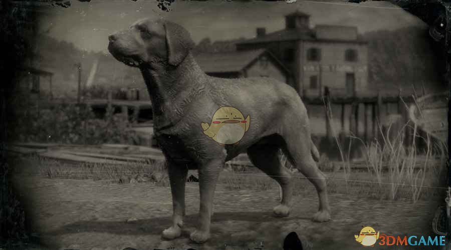《荒野大镖客2》杂种犬图鉴一览