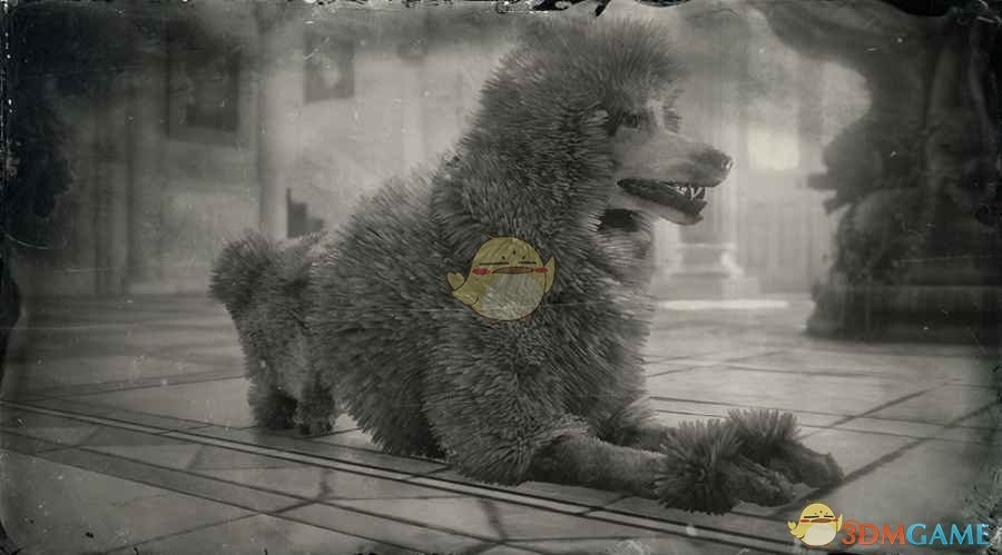 《荒野大镖客2》贵宾犬图鉴一览