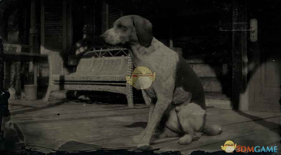 《荒野大镖客2》美国猎狐犬图鉴一览