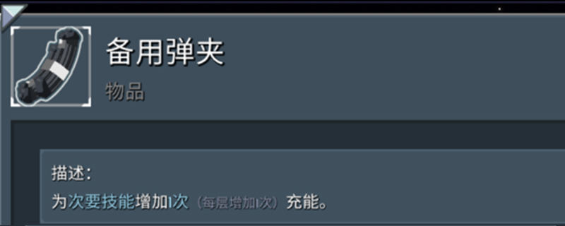 雨中冒险2女猎人弹弹弹流怎么玩